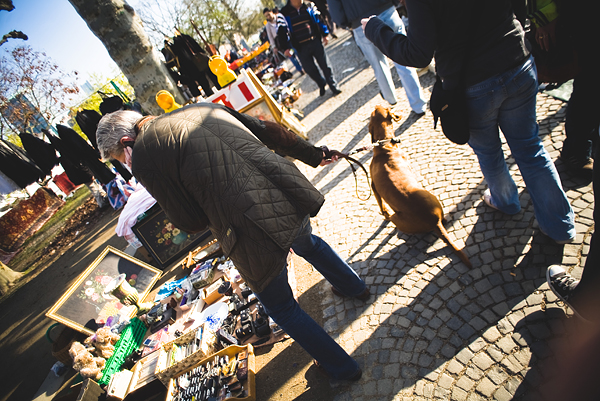 frankfurt spring
