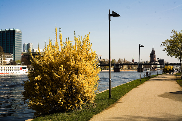 frankfurt spring